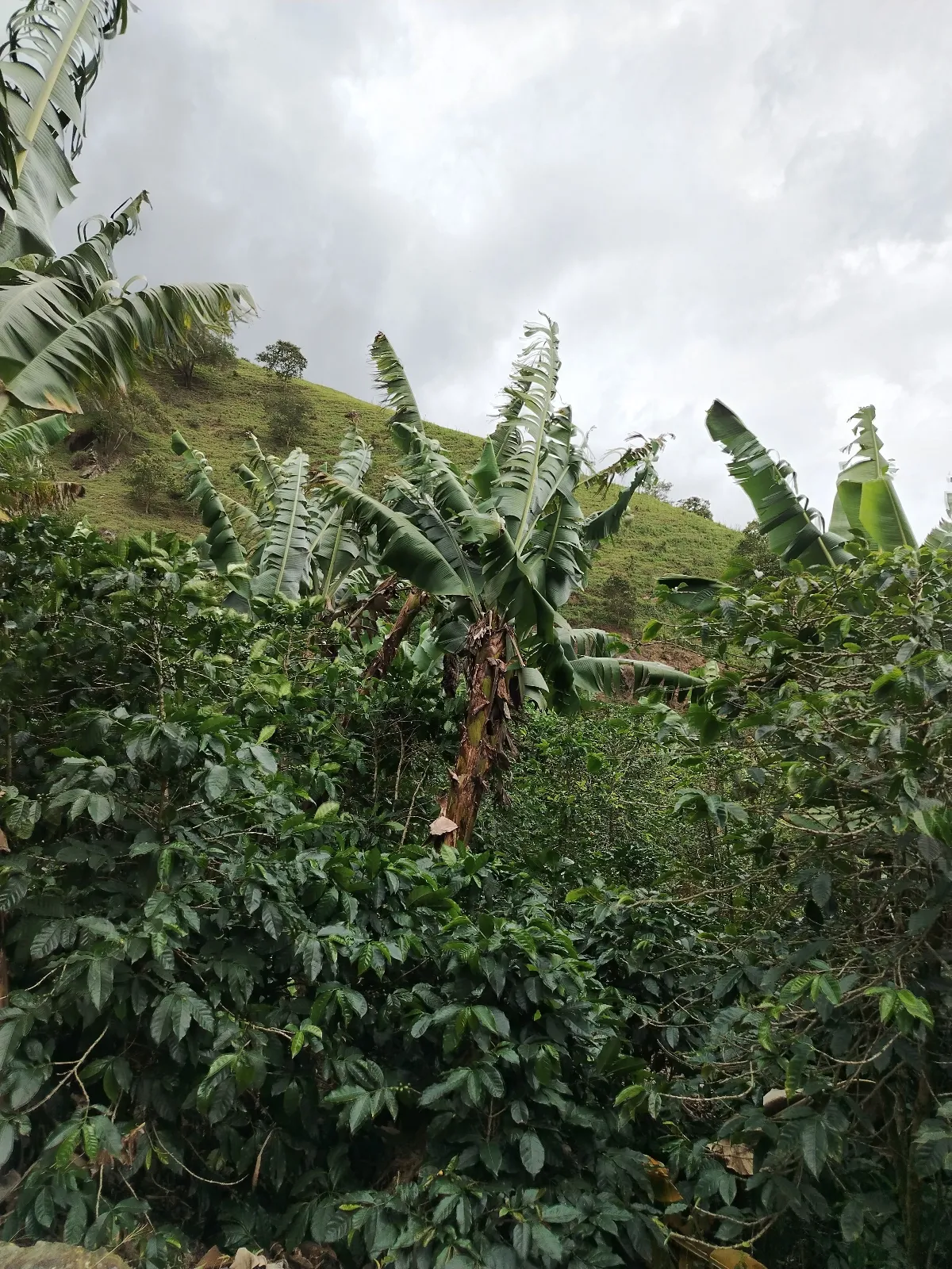Casita de agua