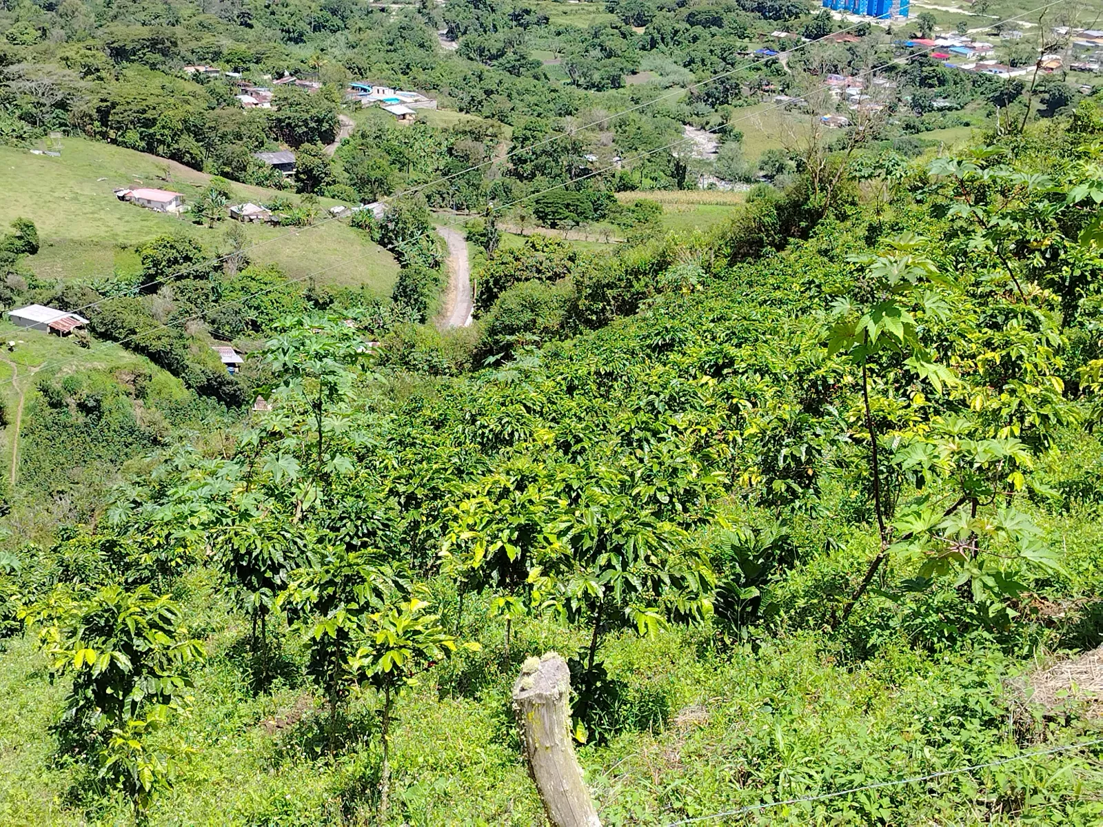 Agropecuaria 2H