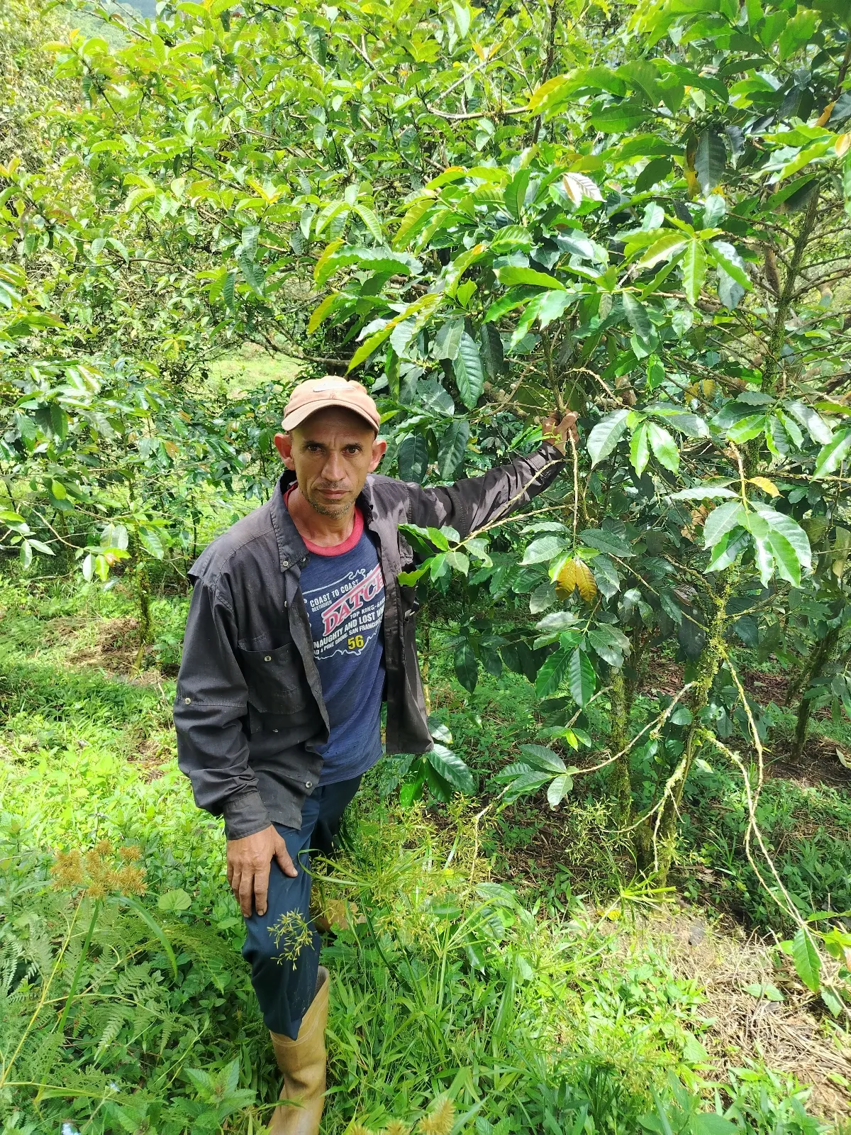 Gregorio gallardo