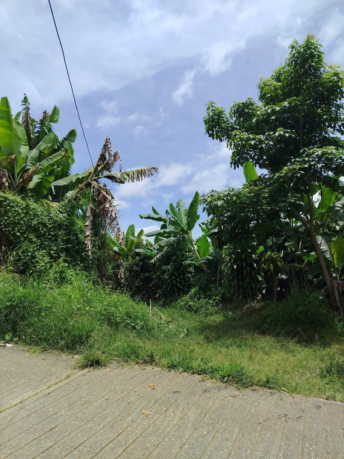 Hacienda el Naranjal