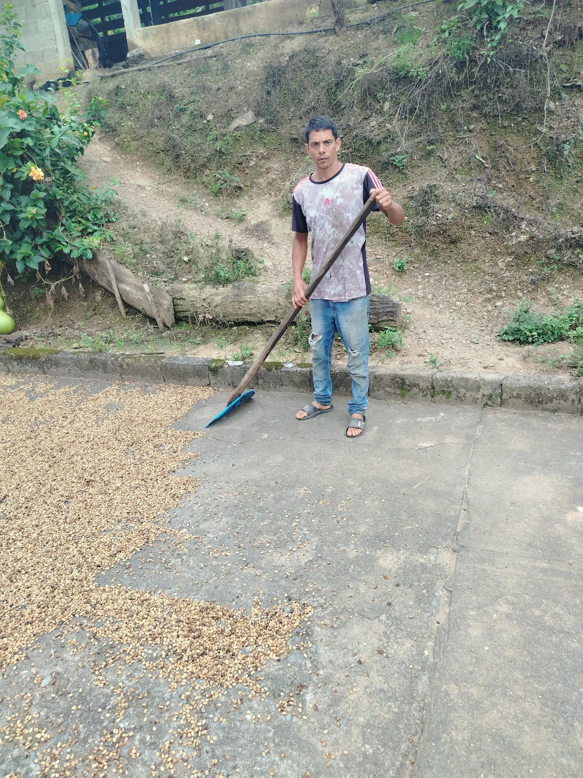 Marcos morillo