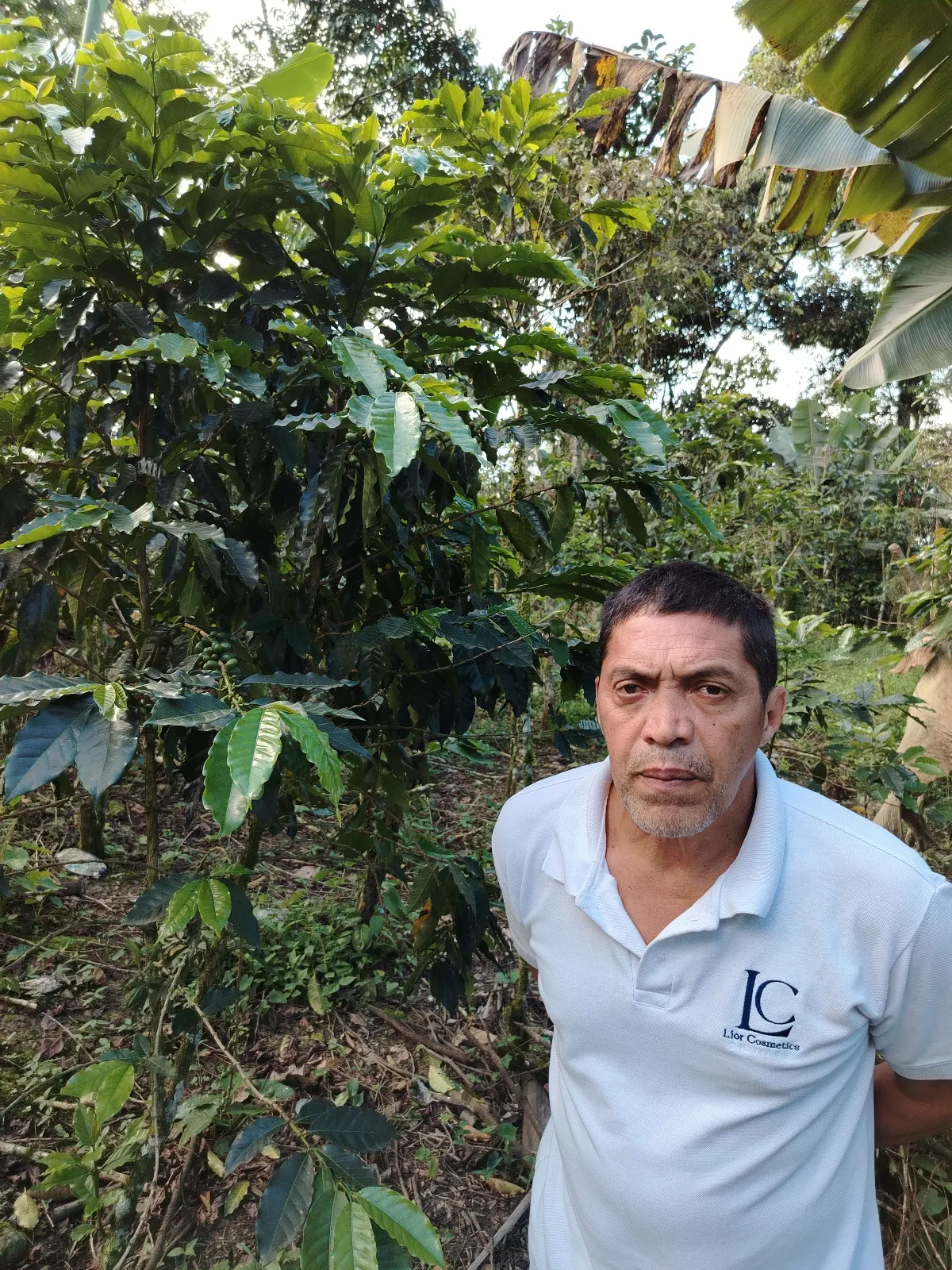 José Azuaje