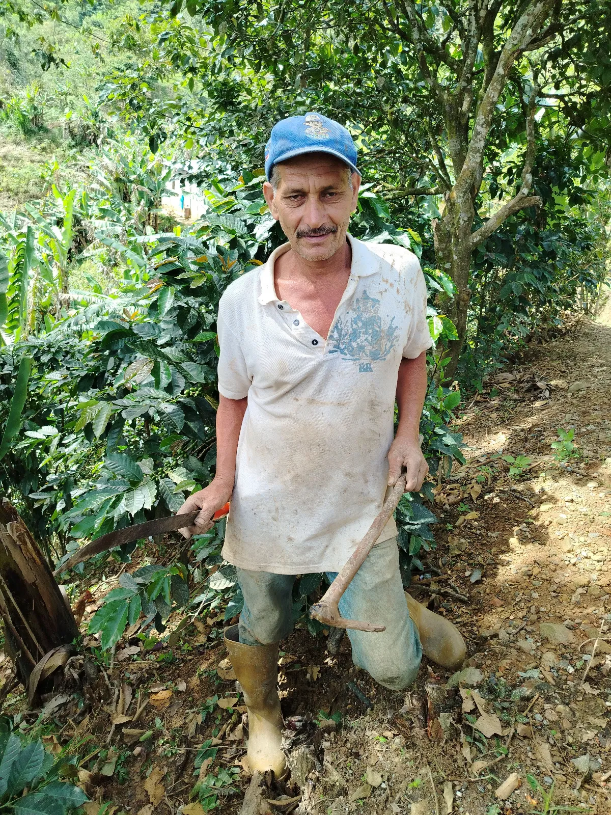 José Sulvaran