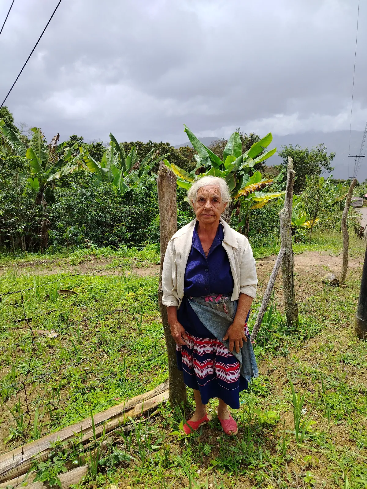 Ada Rosa González