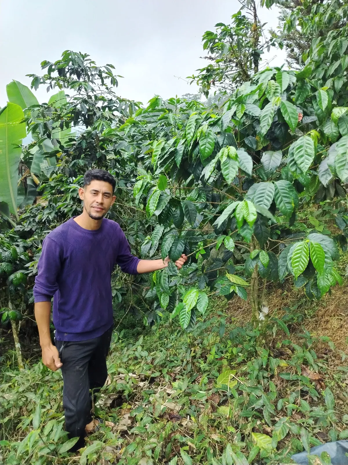 Victor Aldana