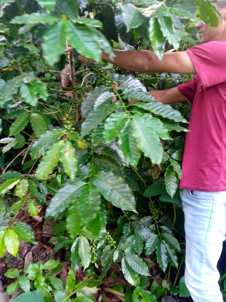 Edgar Martínez