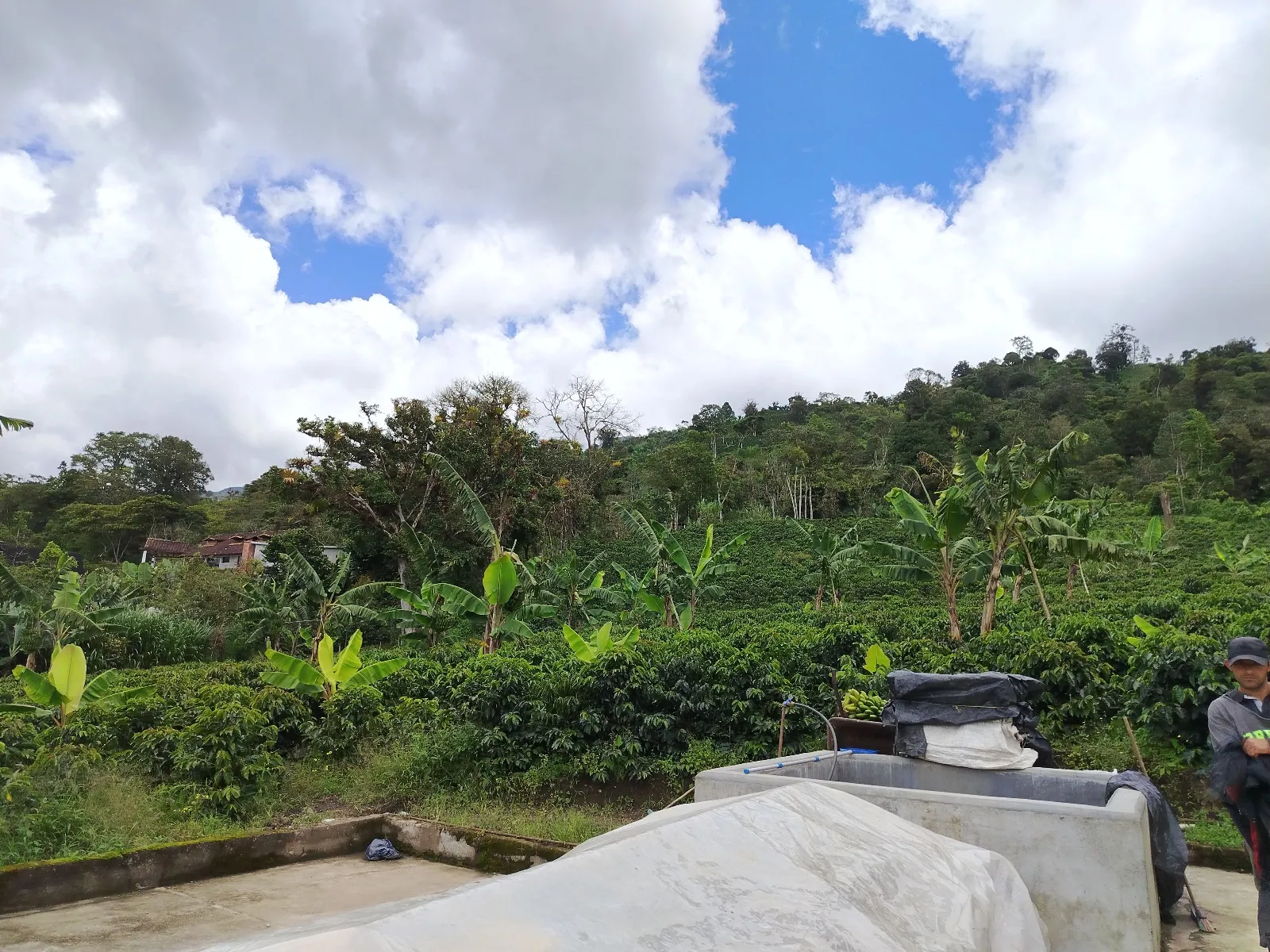 San Benito