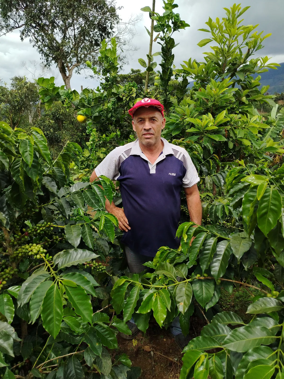 José Teran
