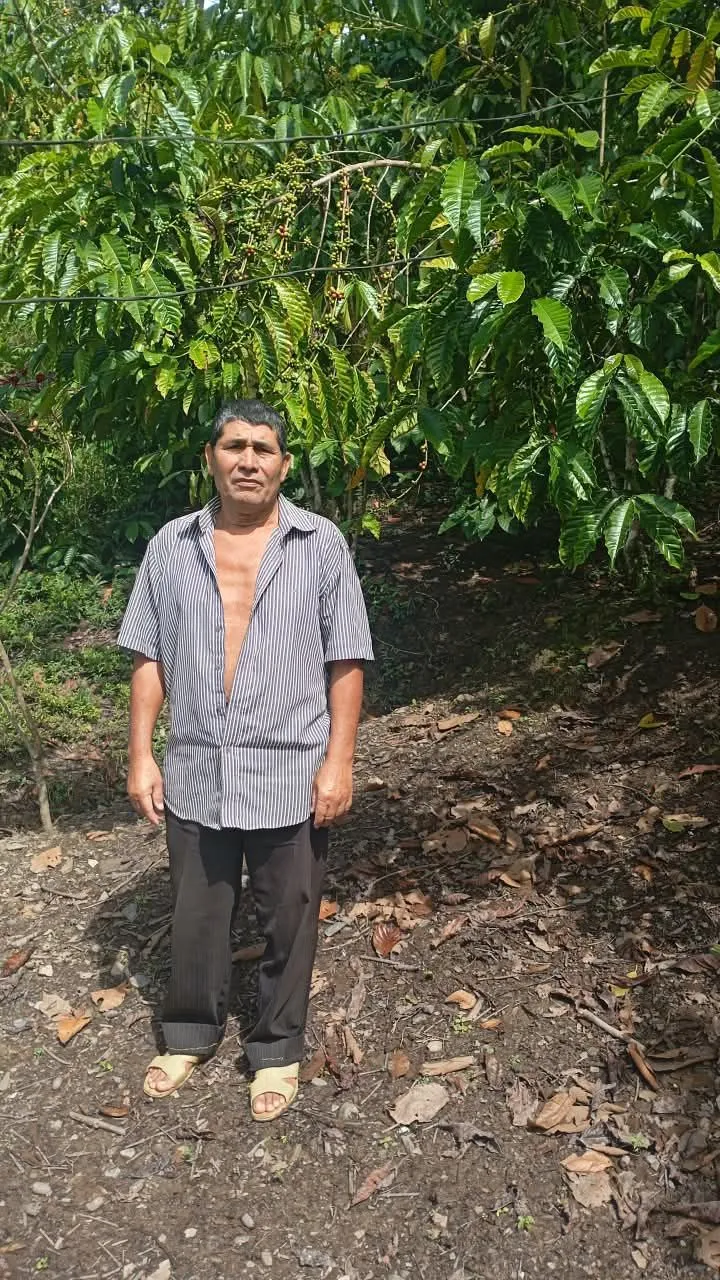 Avelino Hernández