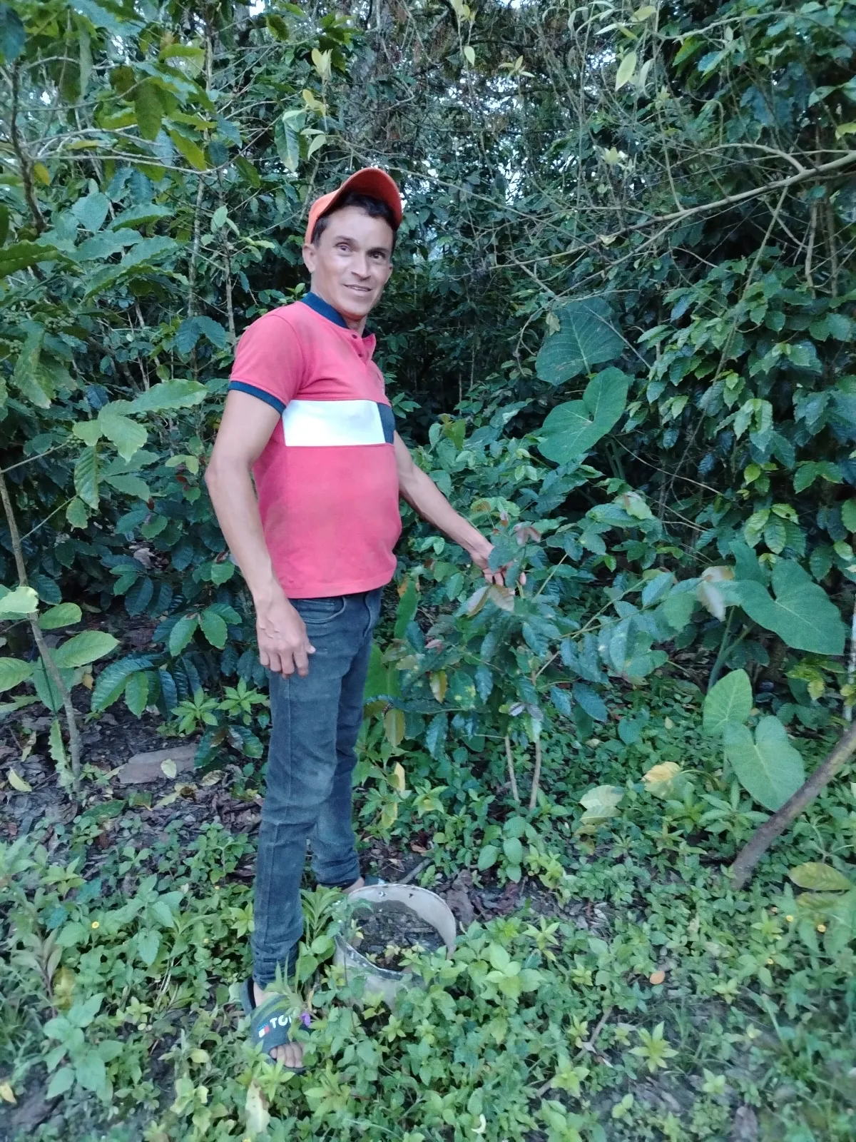 Juan Rodríguez