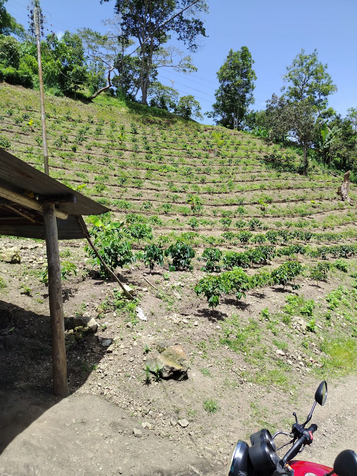 Finca los Durán