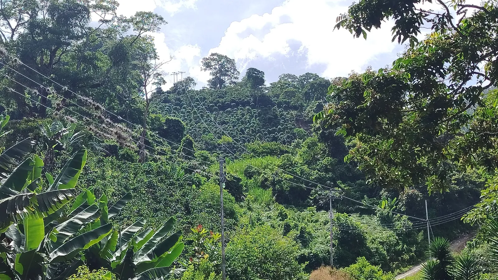 La trinidad 1