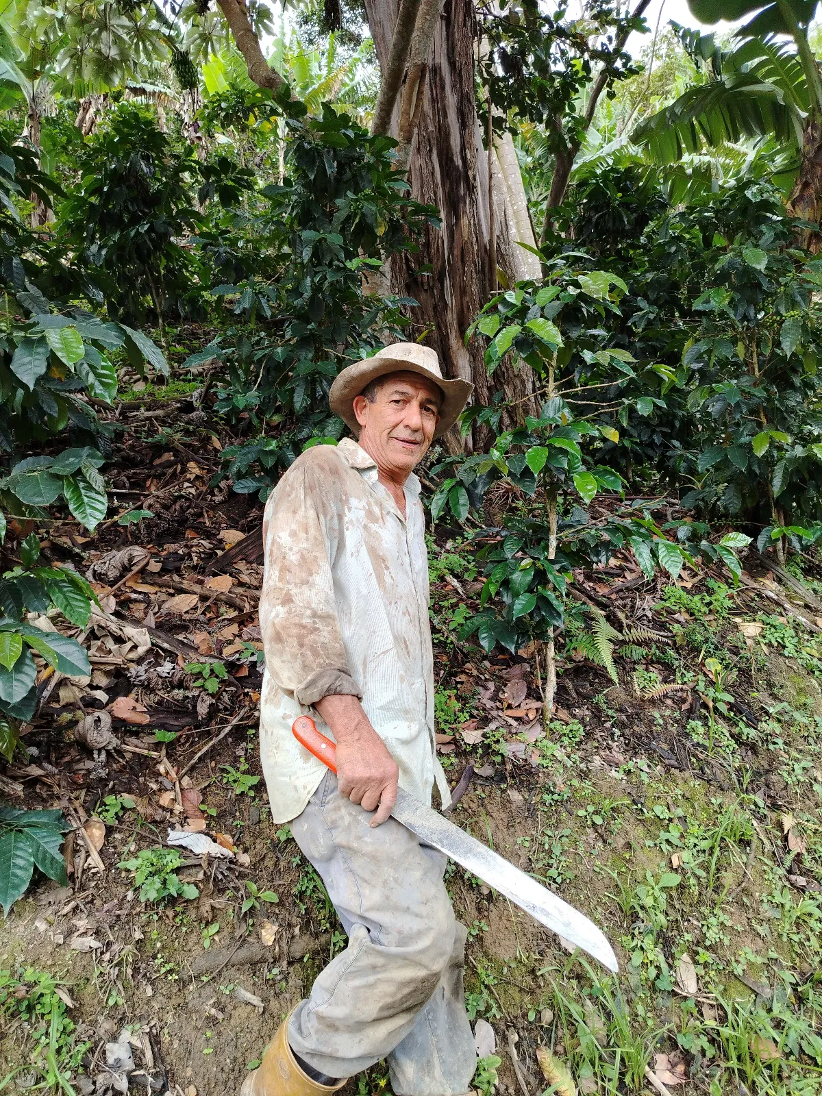 Daniel Pérez