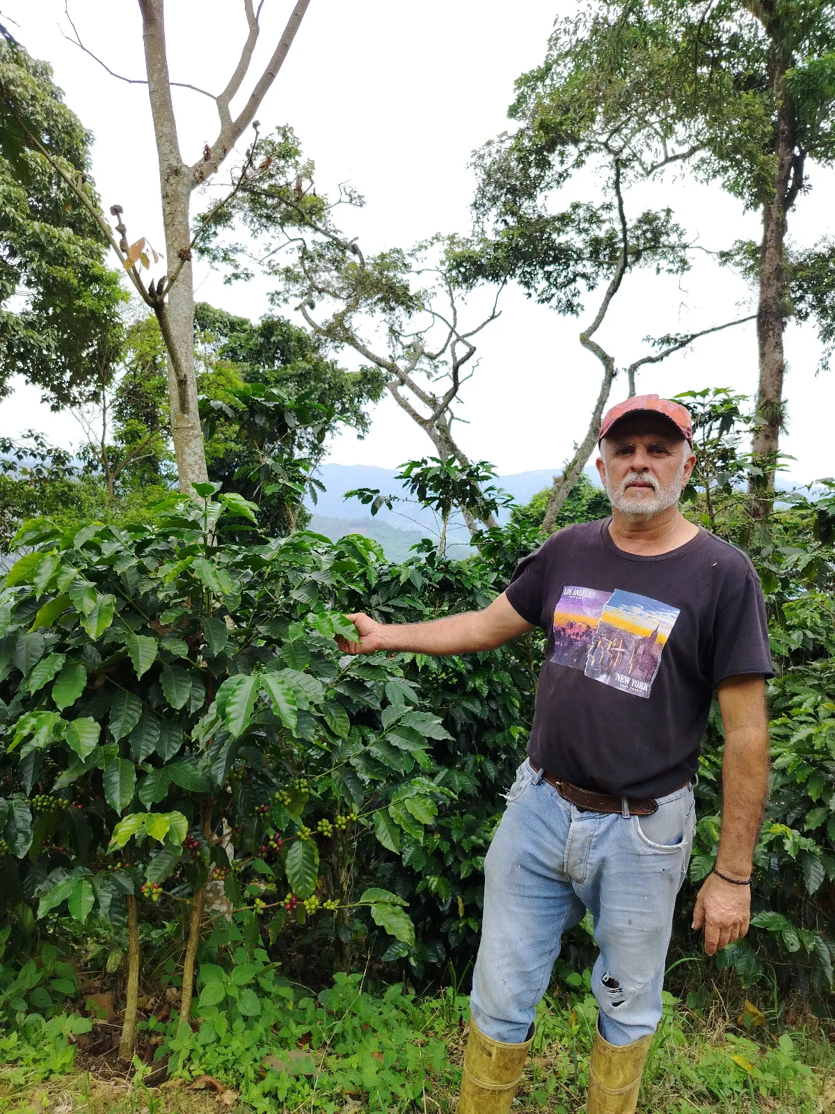 Alfonso cañizalez