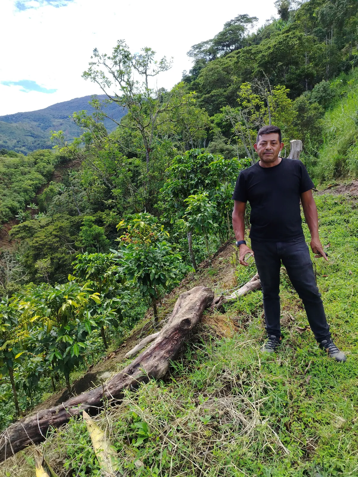 Antonio Berrios