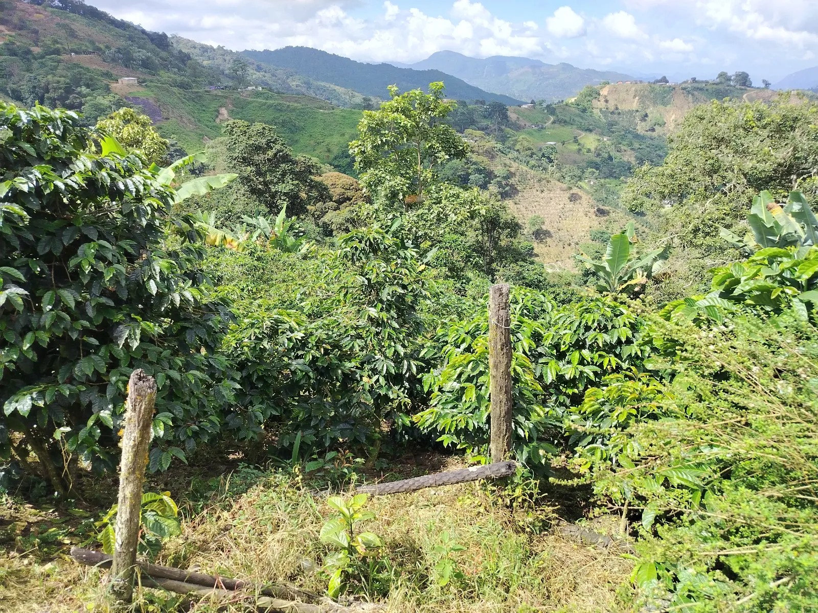 La esperanza 2