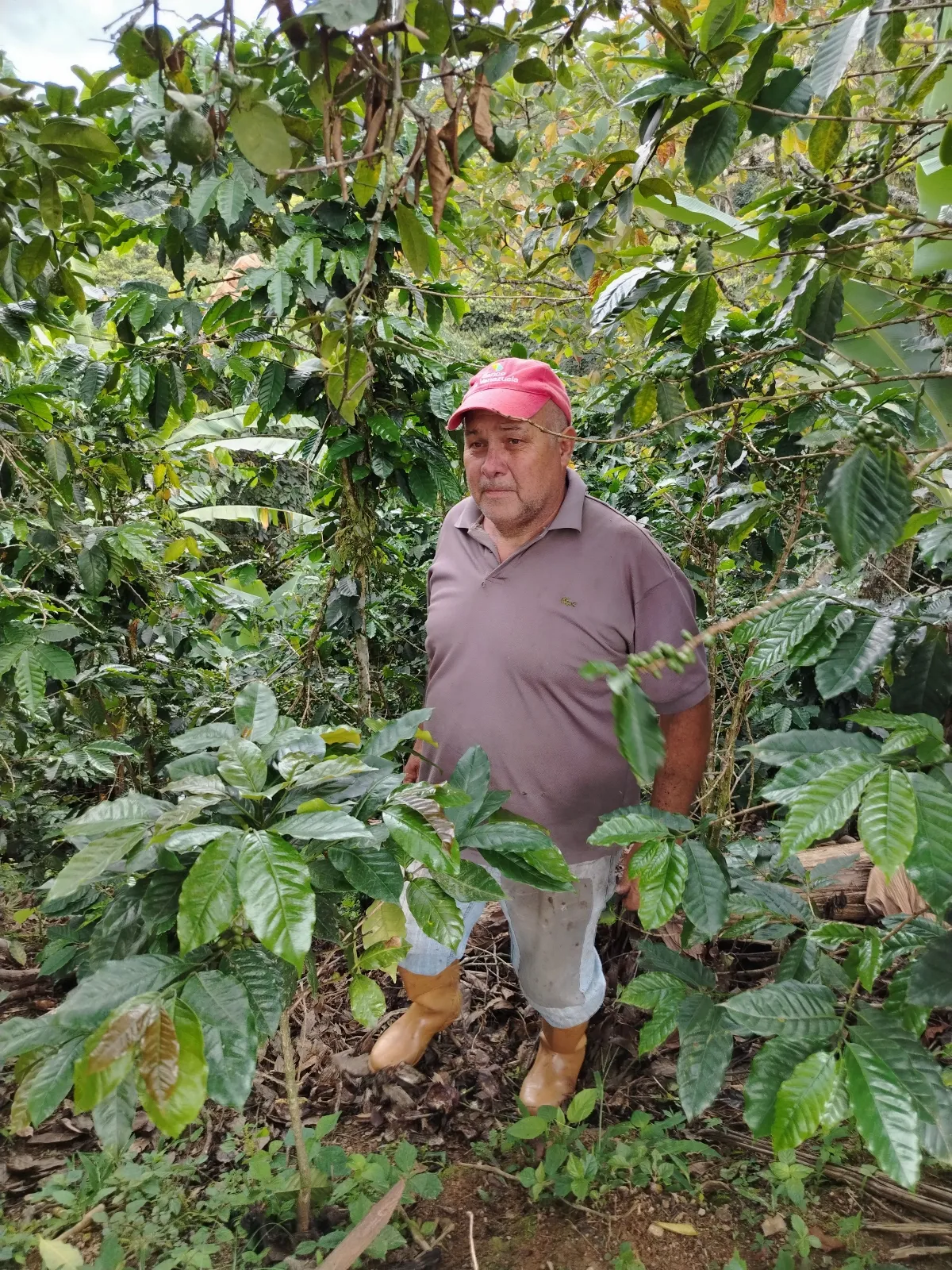 Isaias Antonio Bastidas