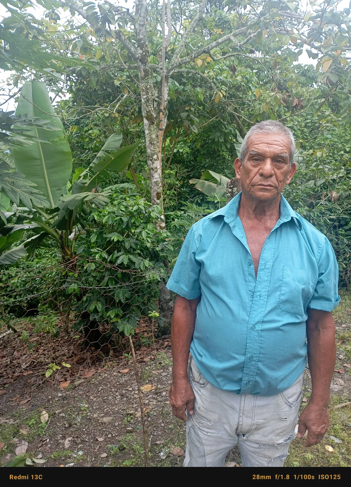 Pulido Pérez
