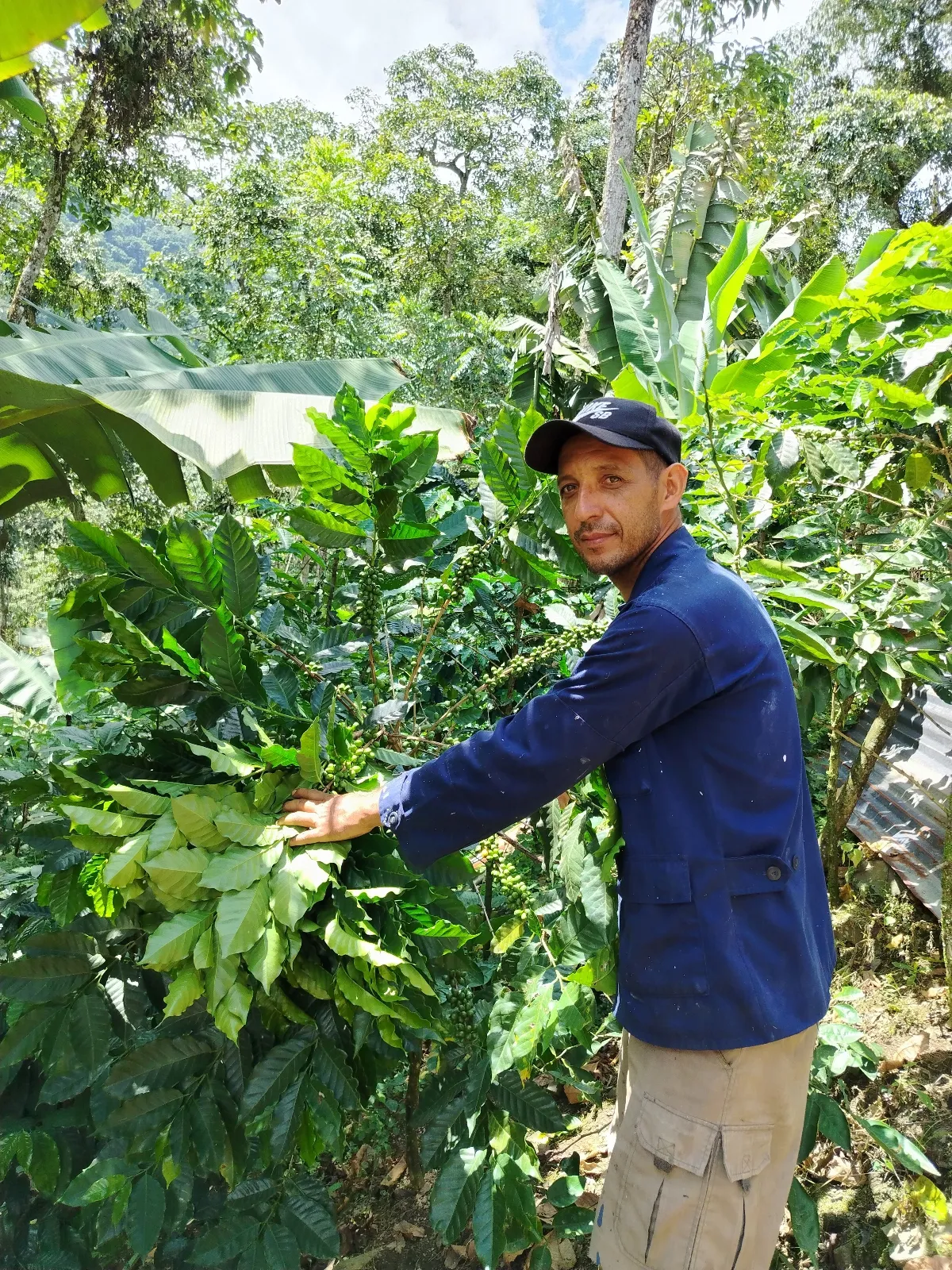 Danny Marín