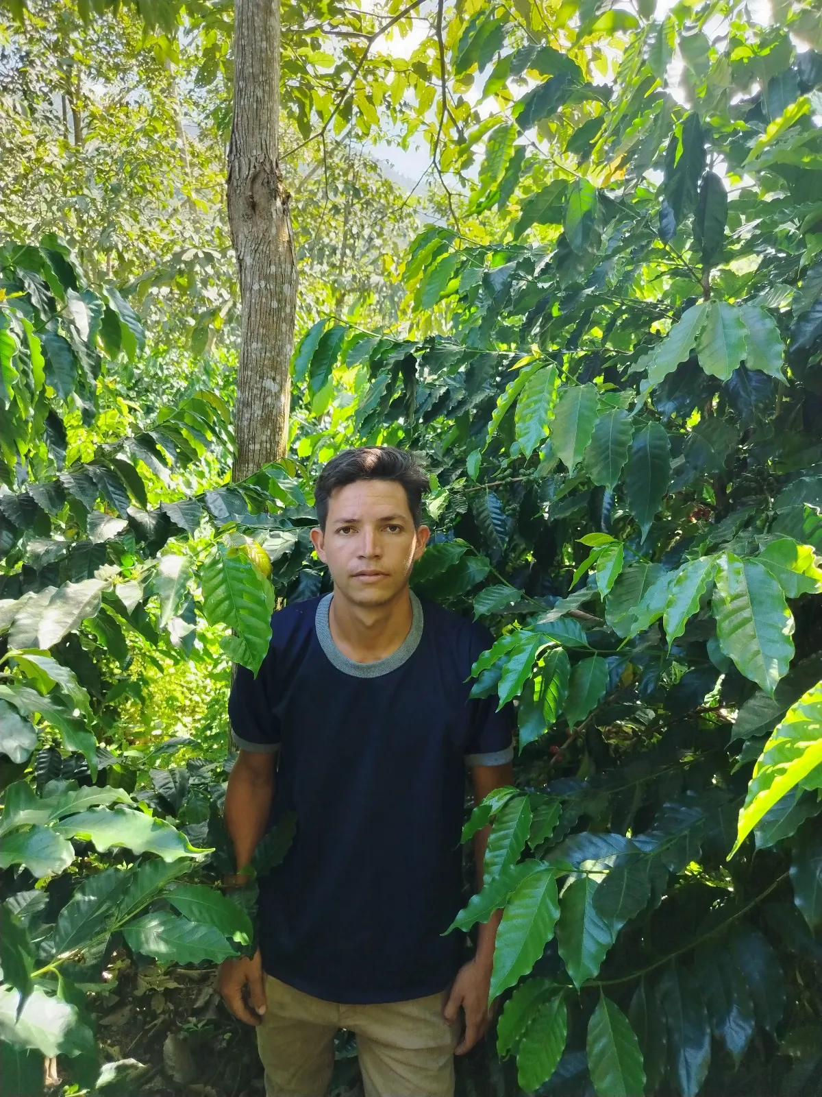 Andrés toro