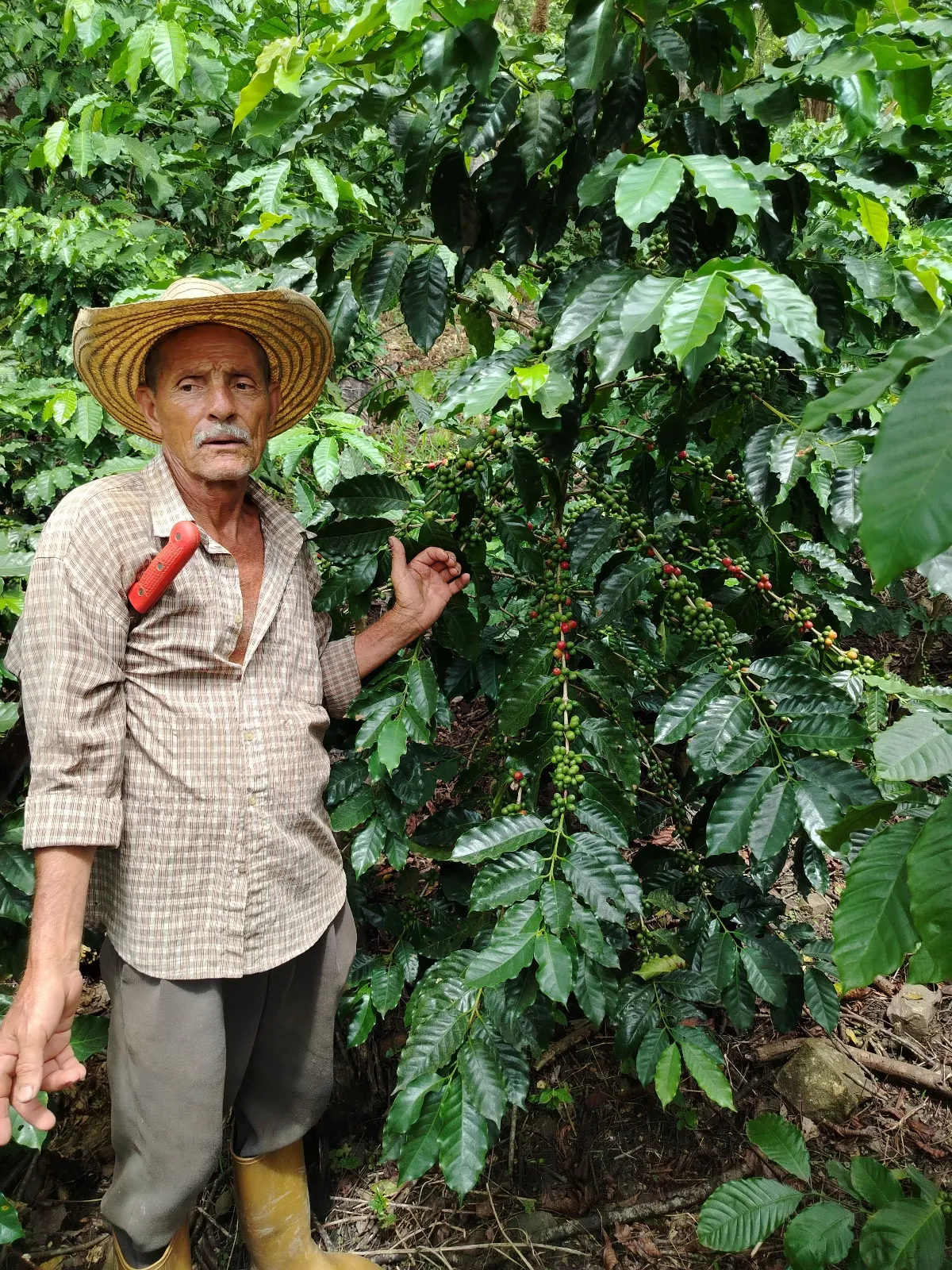 Silverio Marín