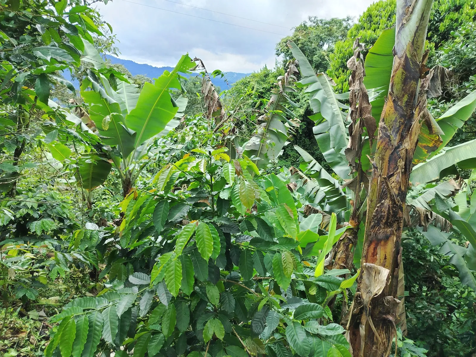 Pasó hondo