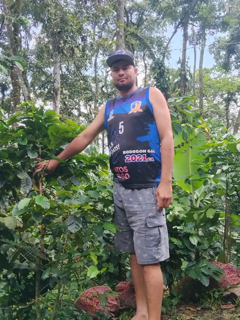 Wilmer Antonio Montilla