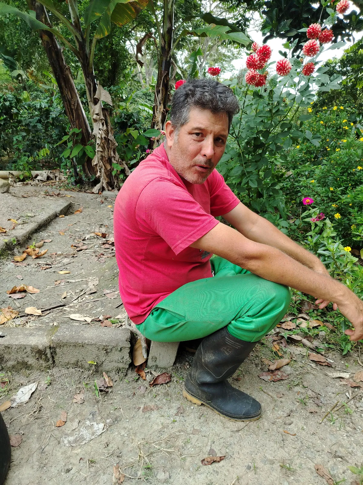 Luis bencomo