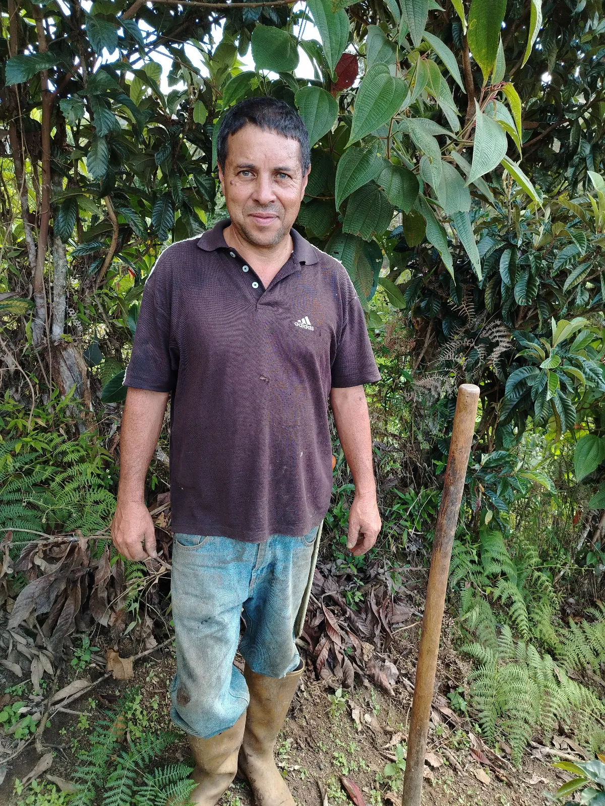 José Toro