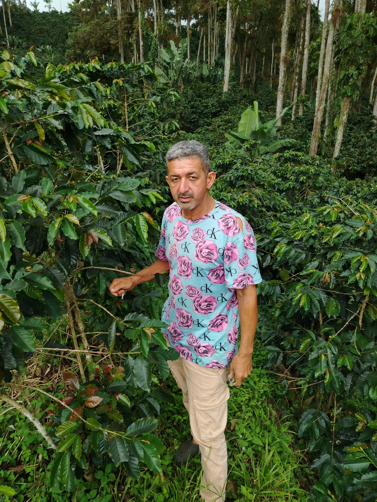 Manuel peña