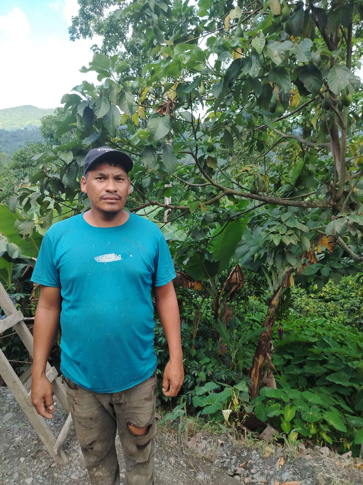Luis Araujo