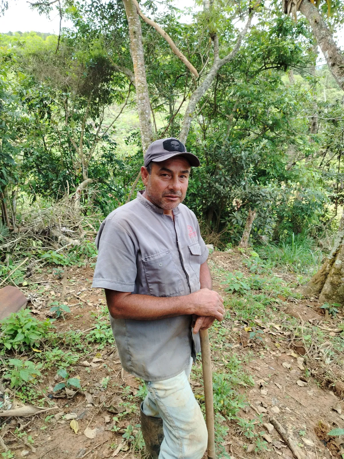 José Gregorio mejía
