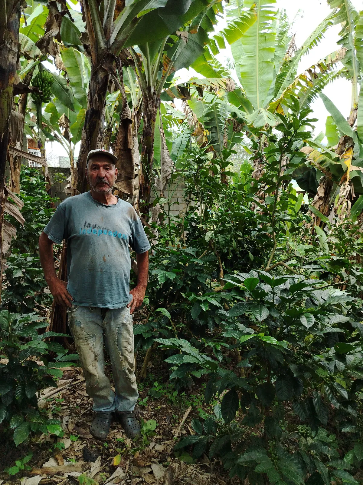 Asdrubal Gudiño