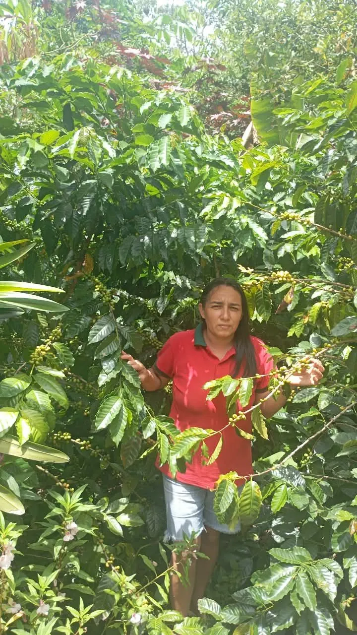 Norenny Pineda