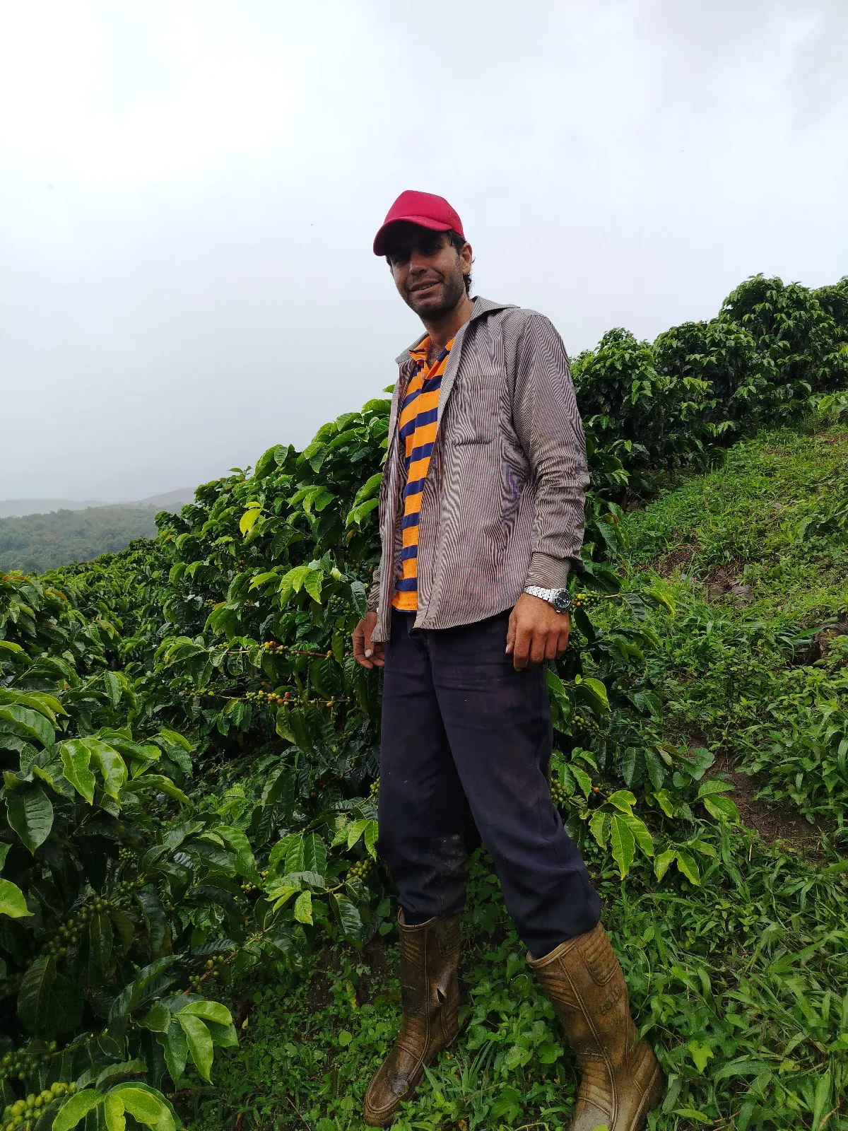 Saul Mauricio León Mejía