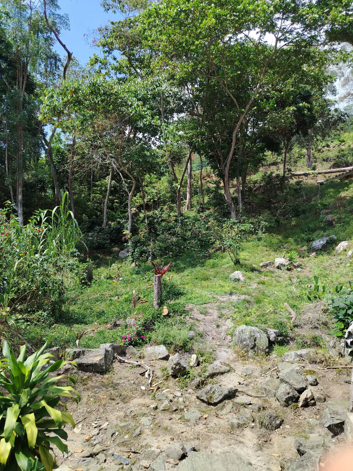 La Esperanza