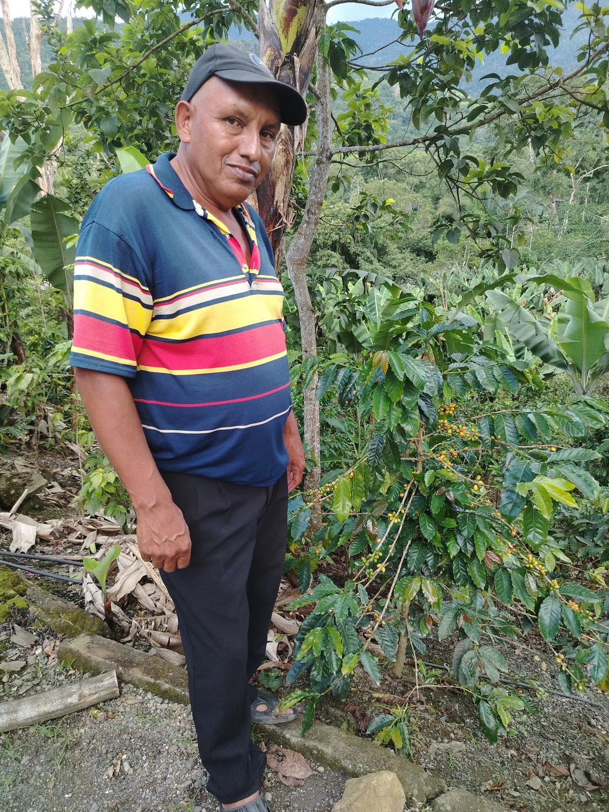 José Aguilar