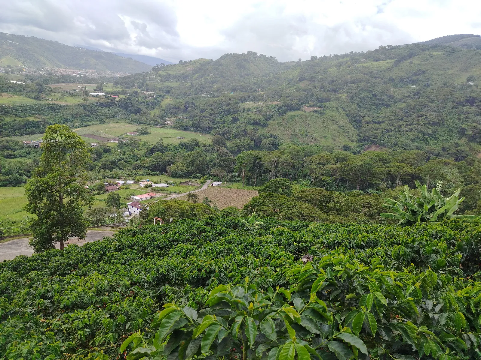 Finca San Antonio chanda