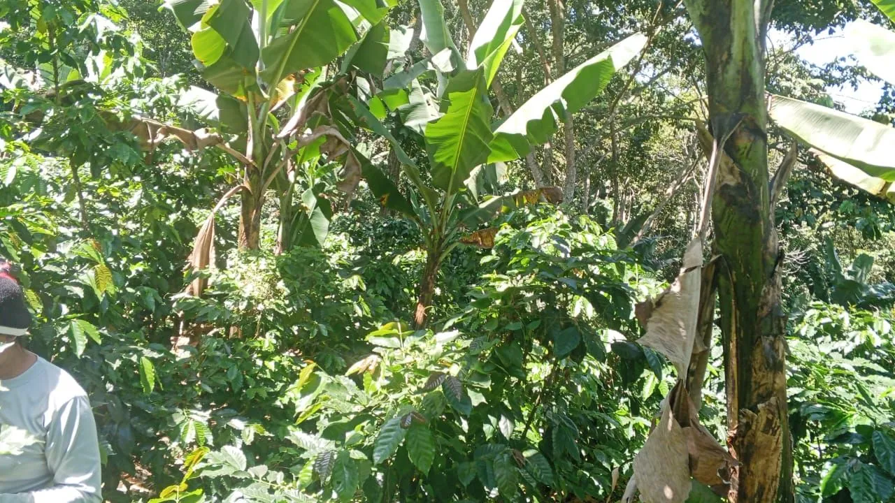 La Fundadora