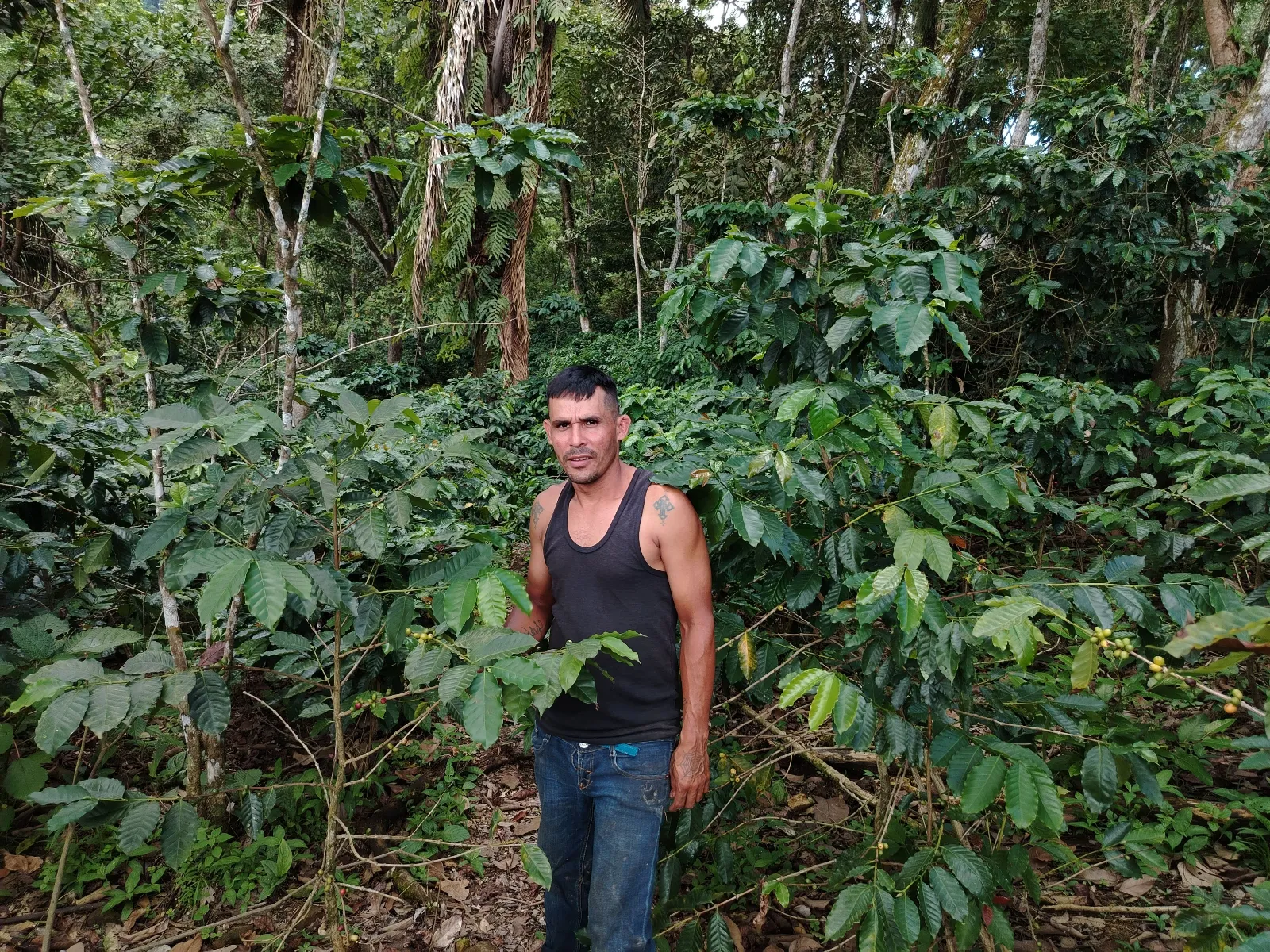 Andrés Colmenares
