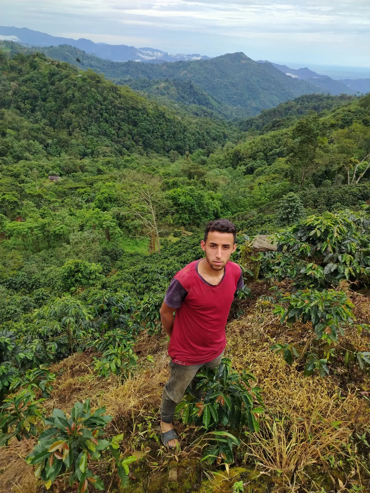 Ender José Montilla