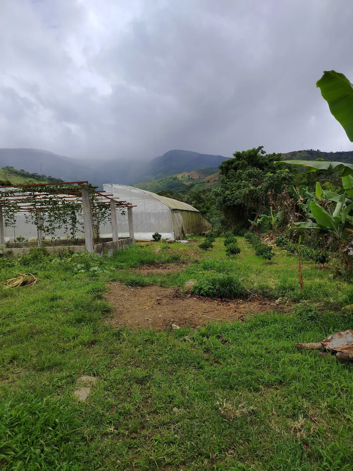 Finca Fernando
