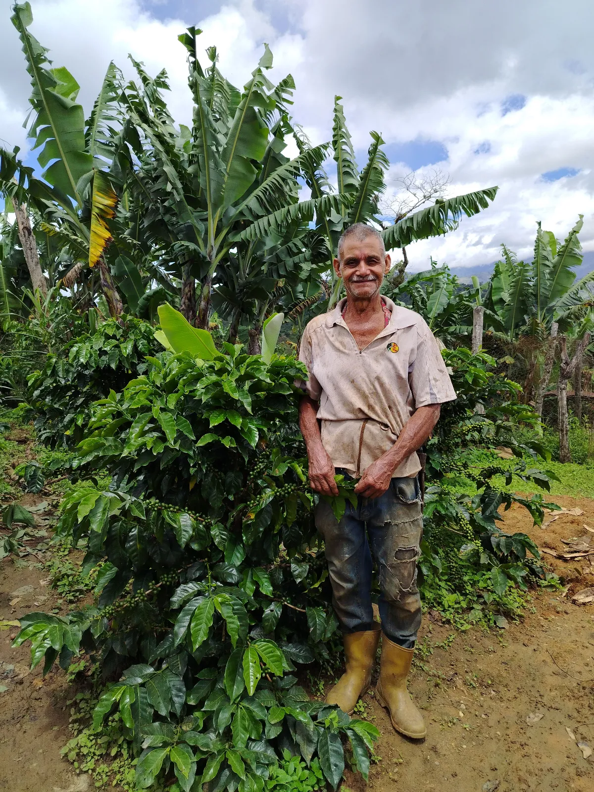 Pedro Carrillo
