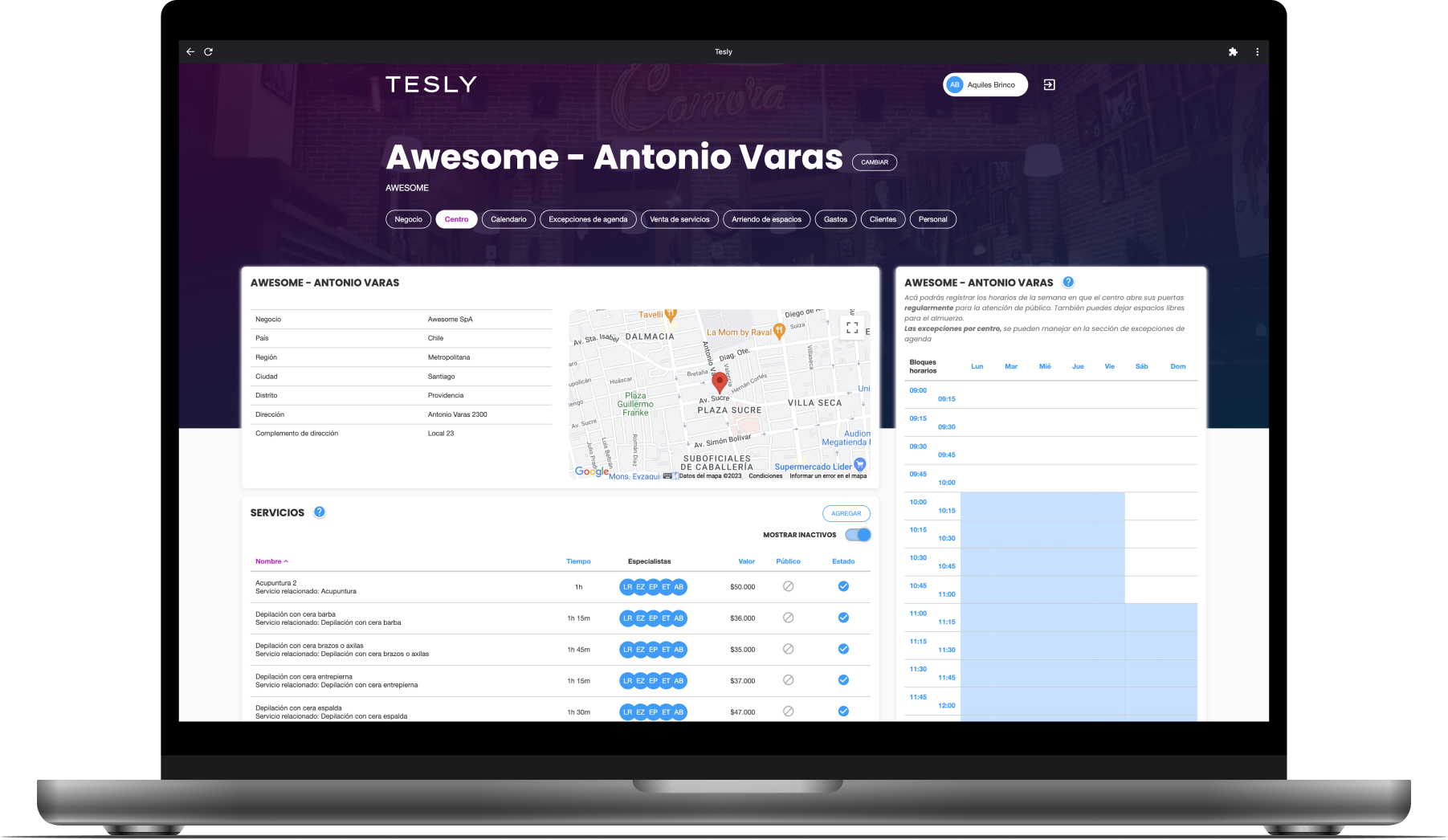 Tesly Business Preview