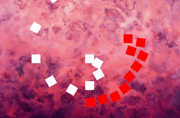 CollisionsAndGravity.gif