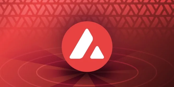 3-avalanche.webp