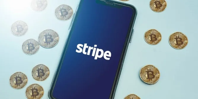 stripe.webp