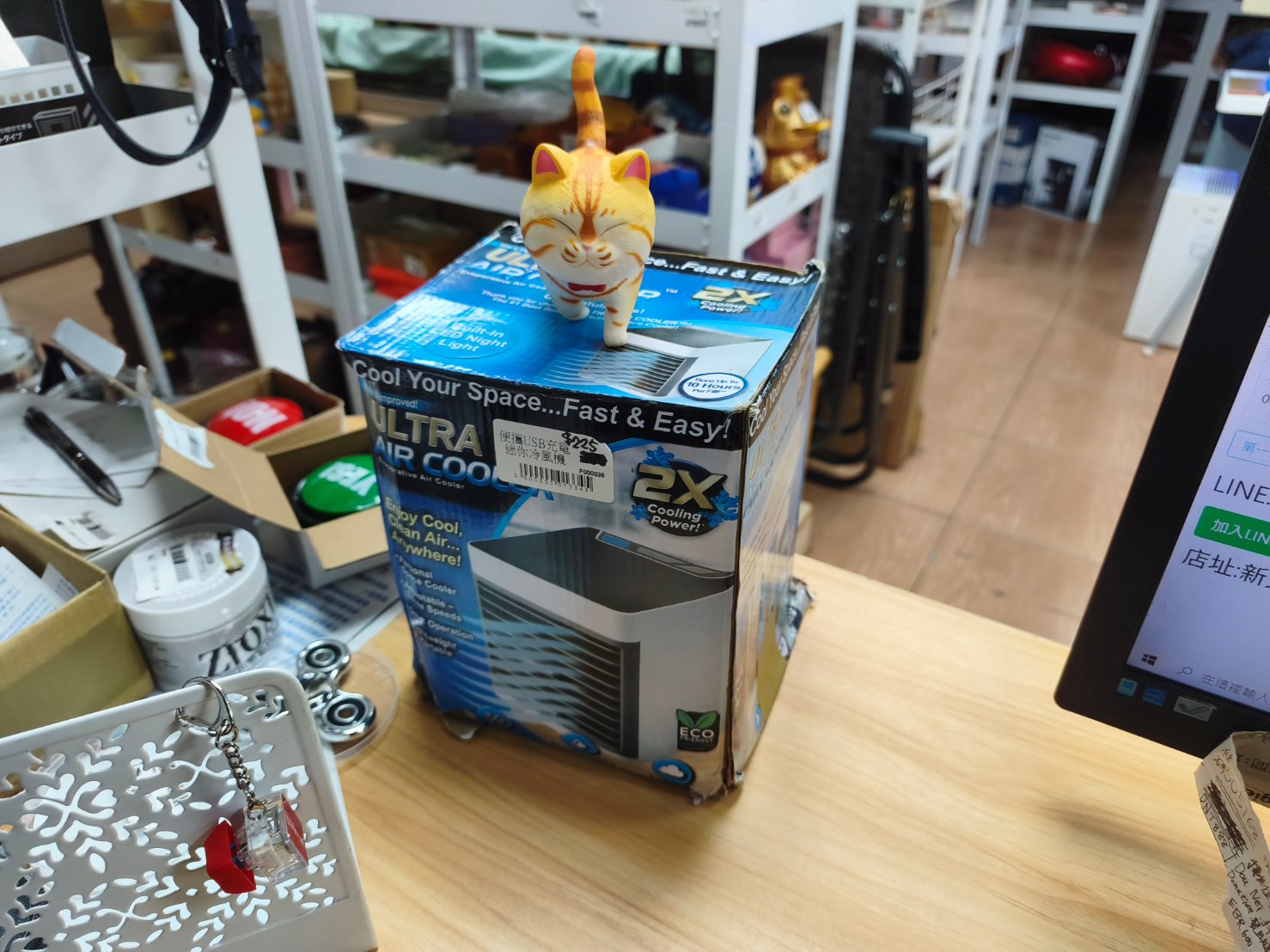 黃金懶蛋貓仔