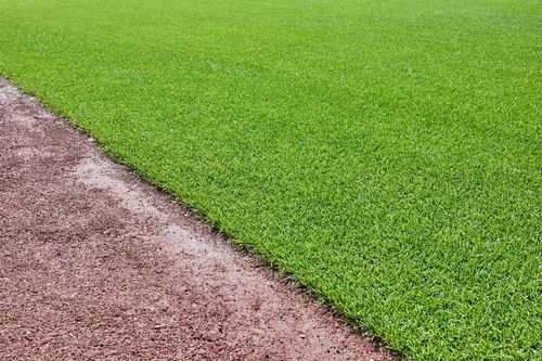 Field