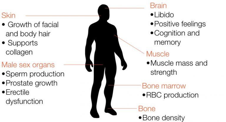 how long does testosterone gel stay in your system